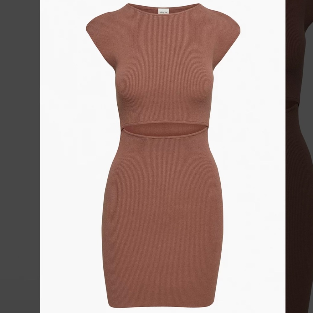 Aritzia Wilfred Free Knit Cutout Mini Dress